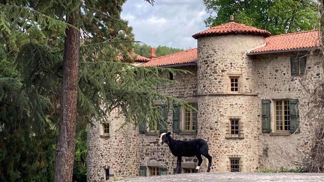 Chateau De Durianne Le Monteil  Экстерьер фото