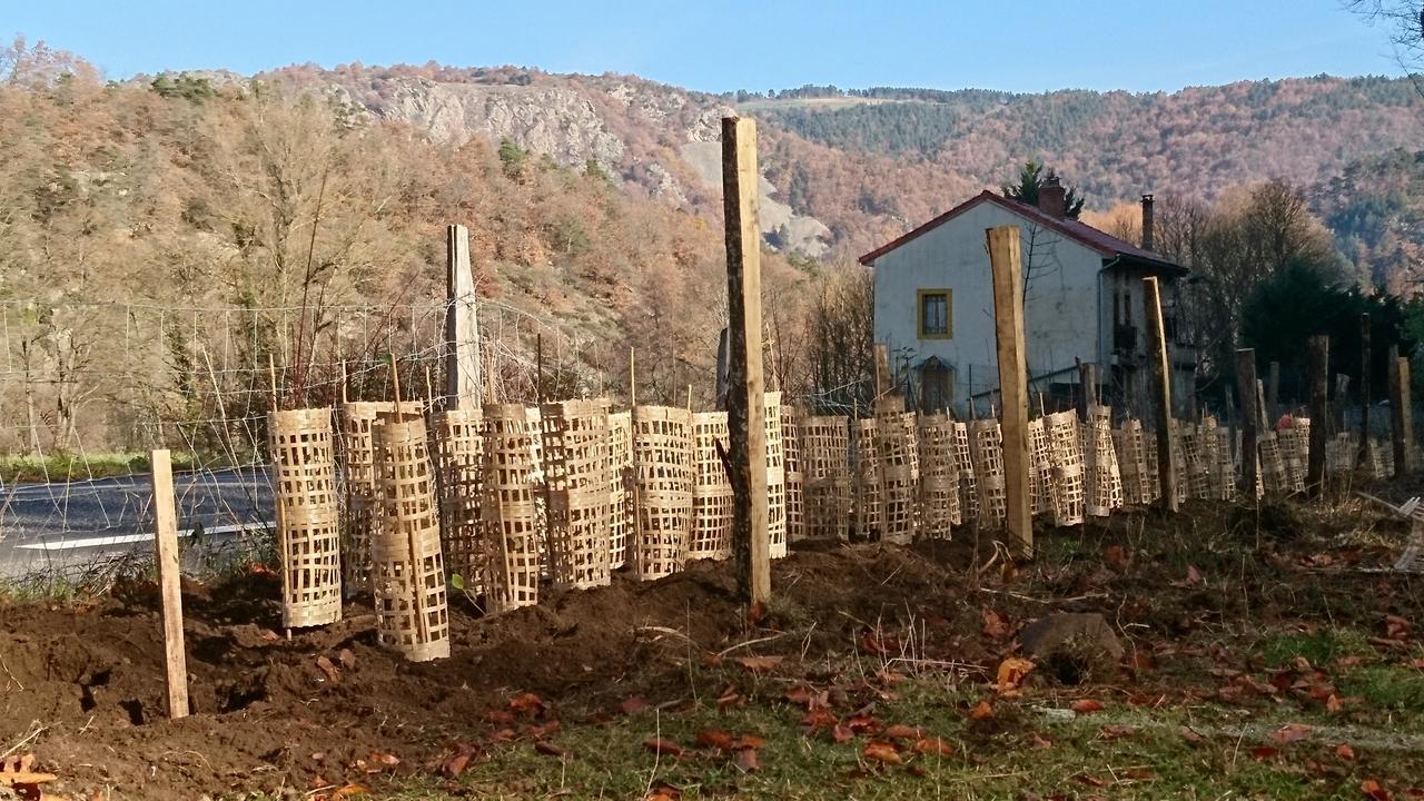 Chateau De Durianne Le Monteil  Экстерьер фото